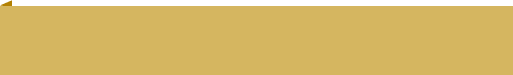 Rectangle 729